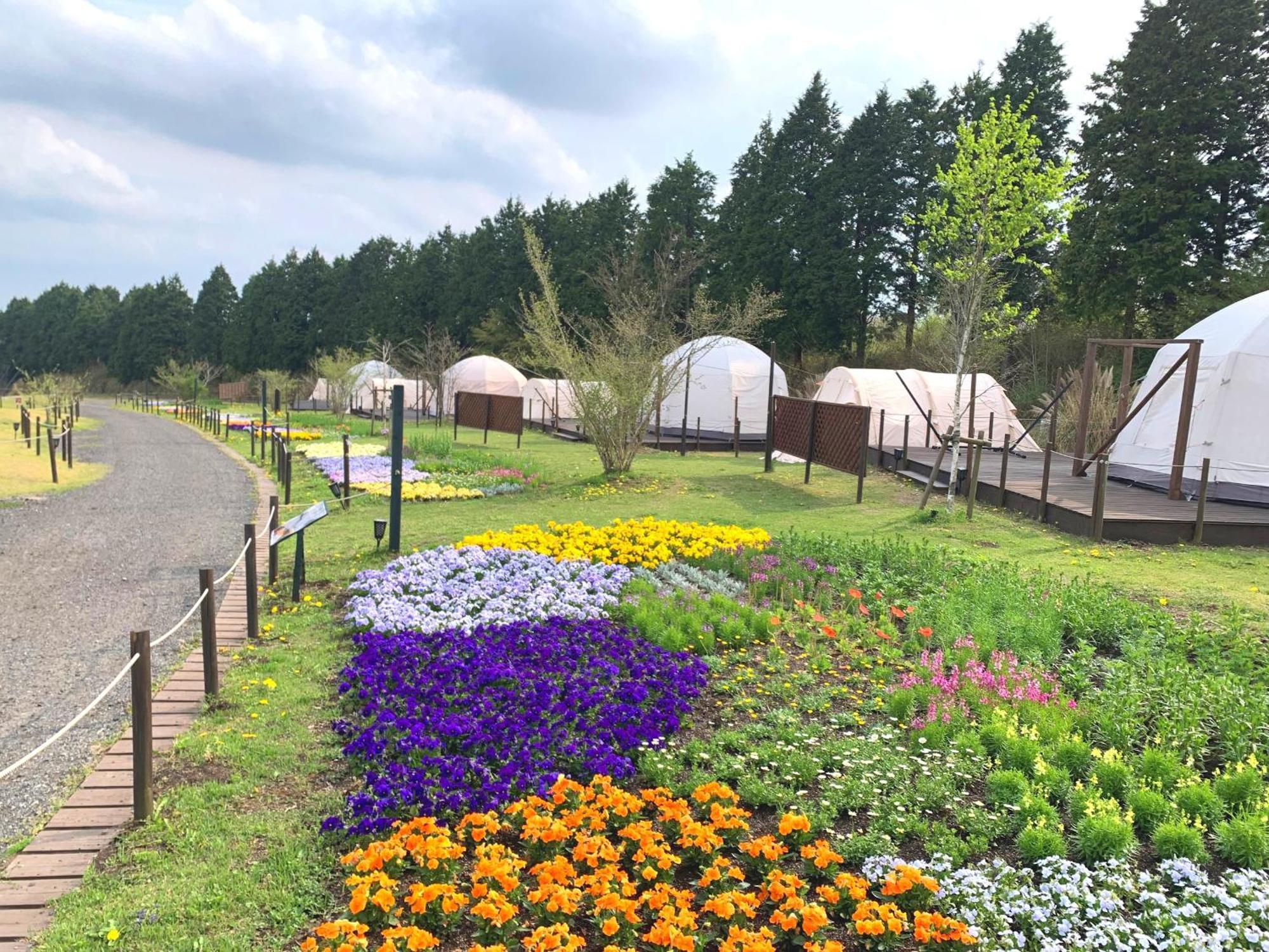 くじゅう花公園　キャンピングリゾート花と星 Kuju Exterior foto